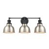 Vanity Lighting * | Haralson 24 In. 3-Light Charcoal Vanity Light By Titan Lighting