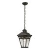 Outdoor Lighting * | Mendham 1-Light Hazelnut Bronze Outdoor Pendant By Titan Lighting