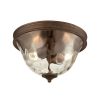 Chandeliers * | Cheltham 2-Light Mocha With Clear Water Glass Flushmount By Titan Lighting