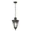 Outdoor Lighting * | Langley Collection 1-Light Textured Matte Black Outdoor Pendant By Titan Lighting