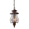 Outdoor Lighting * | Wikshire 1-Light Coffee Bronze Outdoor Ceiling Mount Pendant By Titan Lighting