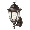 Outdoor Lighting * | Glendale 1-Light Regal Bronze Outdoor Sconce By Titan Lighting